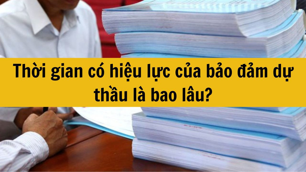 Thời gian có hiệu lực của bảo đảm dự thầu là bao lâu?