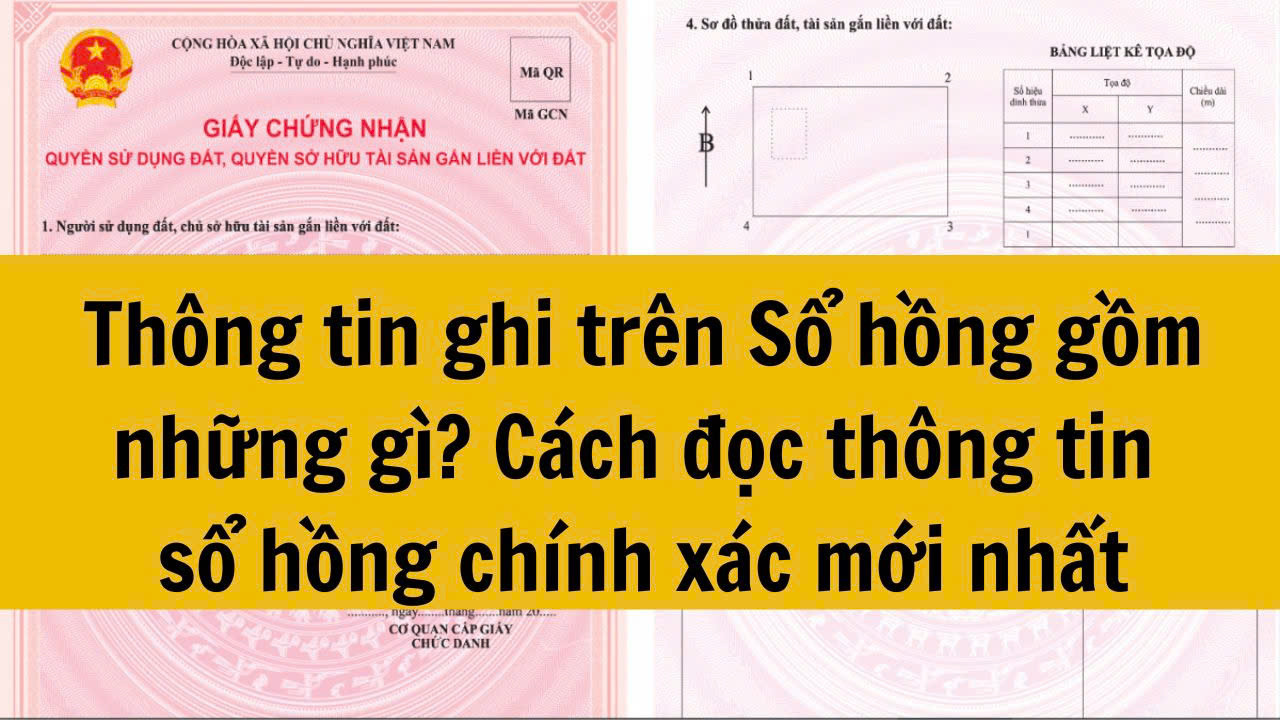Thông tin ghi trên Sổ hồng gồm những gì? Cách đọc thông tin sổ hồng chính xác mới nhất 2025