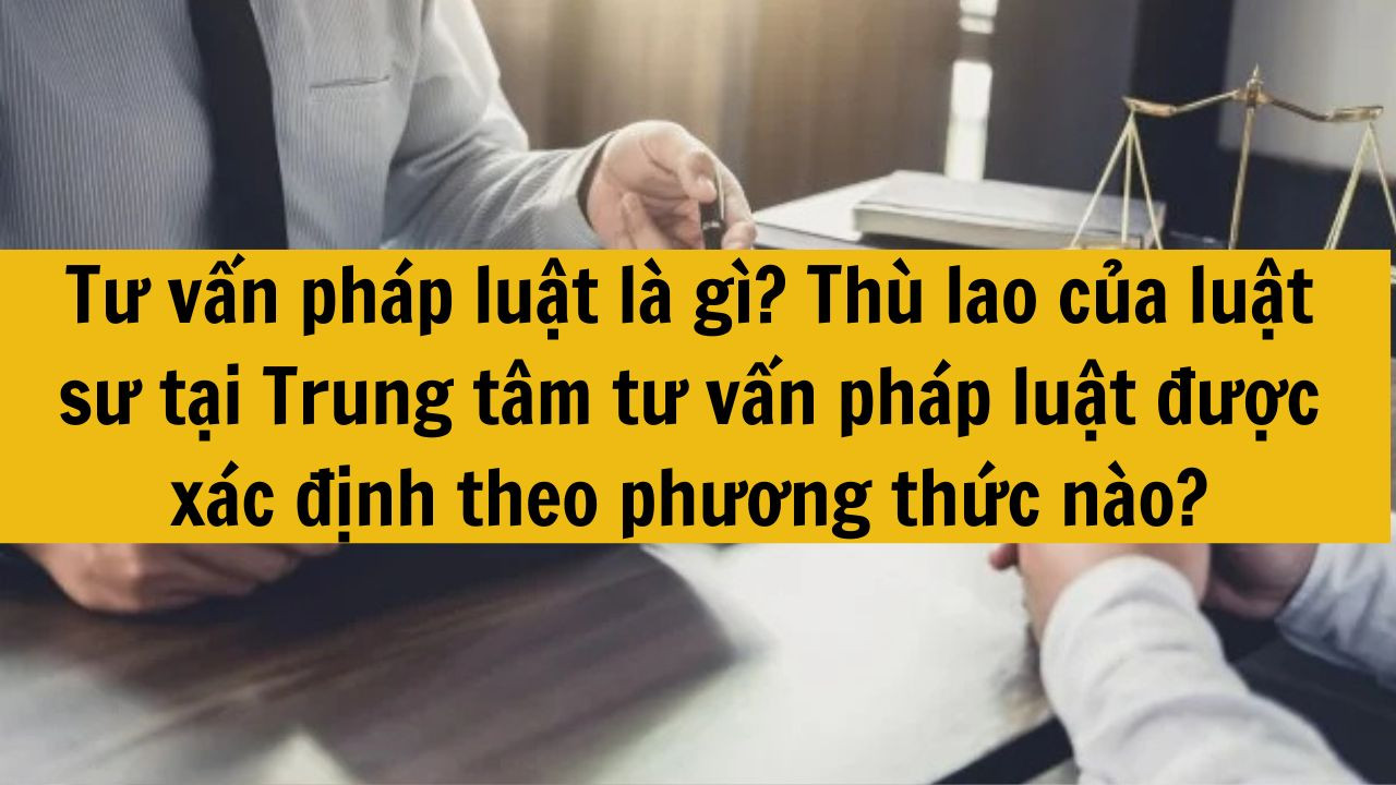 Tư vấn pháp luật là gì? Thù lao của luật sư tại Trung tâm tư vấn pháp luật được xác định theo phương thức nào?