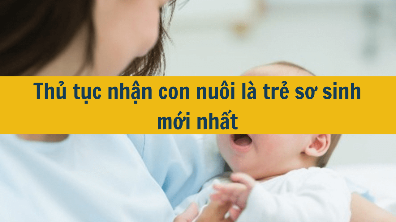 Thủ tục nhận con nuôi là trẻ sơ sinh mới nhất 2025