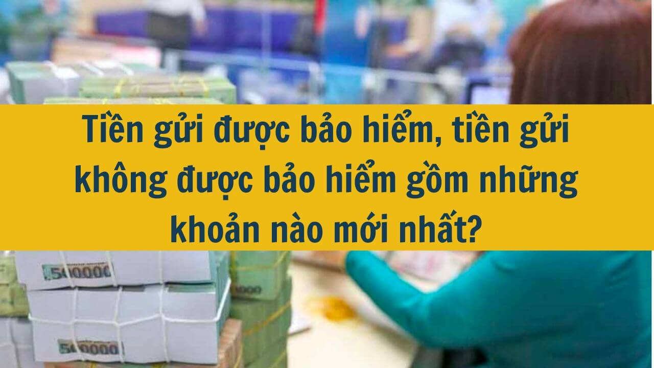 Tiền gửi được bảo hiểm, tiền gửi không được bảo hiểm gồm những khoản nào mới nhất 2025?