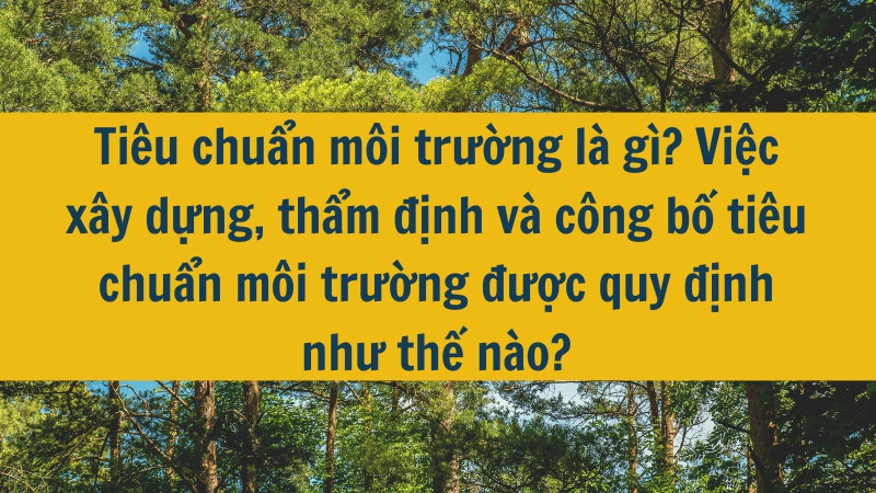 Tiêu chuẩn môi trường là gì? Việc xây dựng, thẩm định và công bố tiêu chuẩn môi trường được quy định như thế nào?