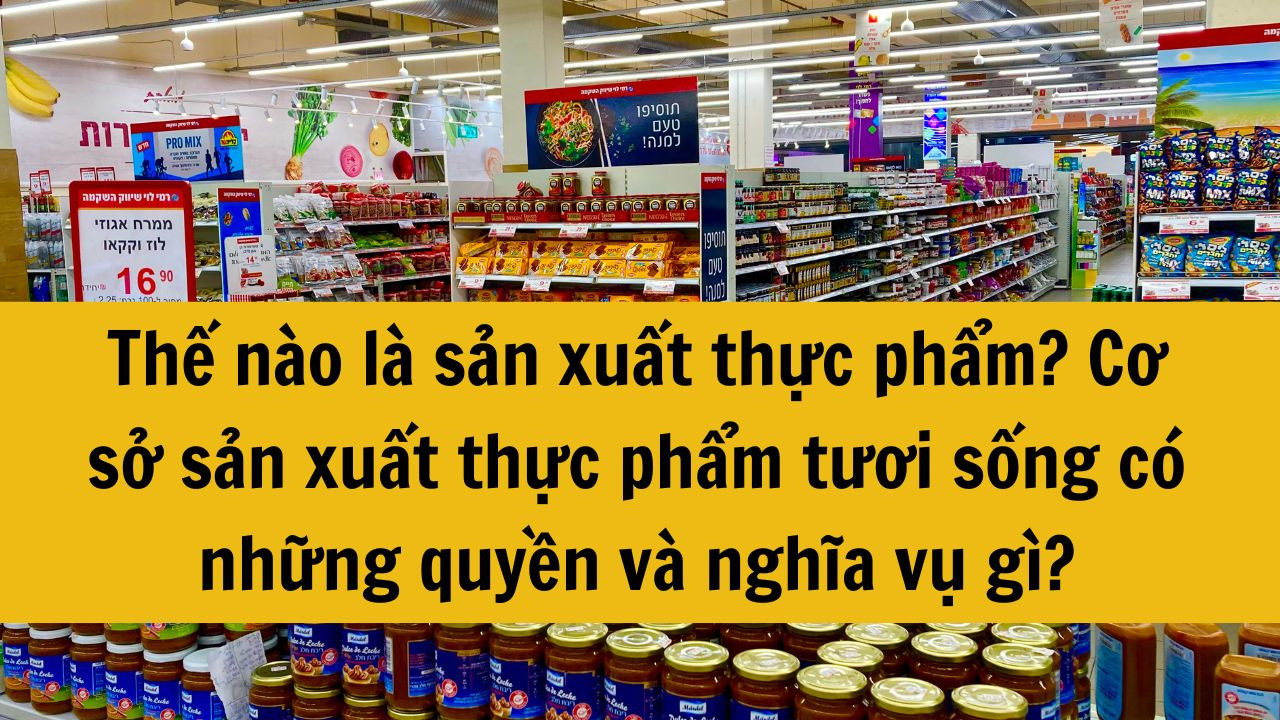 Thế nào là sản xuất thực phẩm? Cơ sở sản xuất thực phẩm tươi sống có những quyền và nghĩa vụ gì?