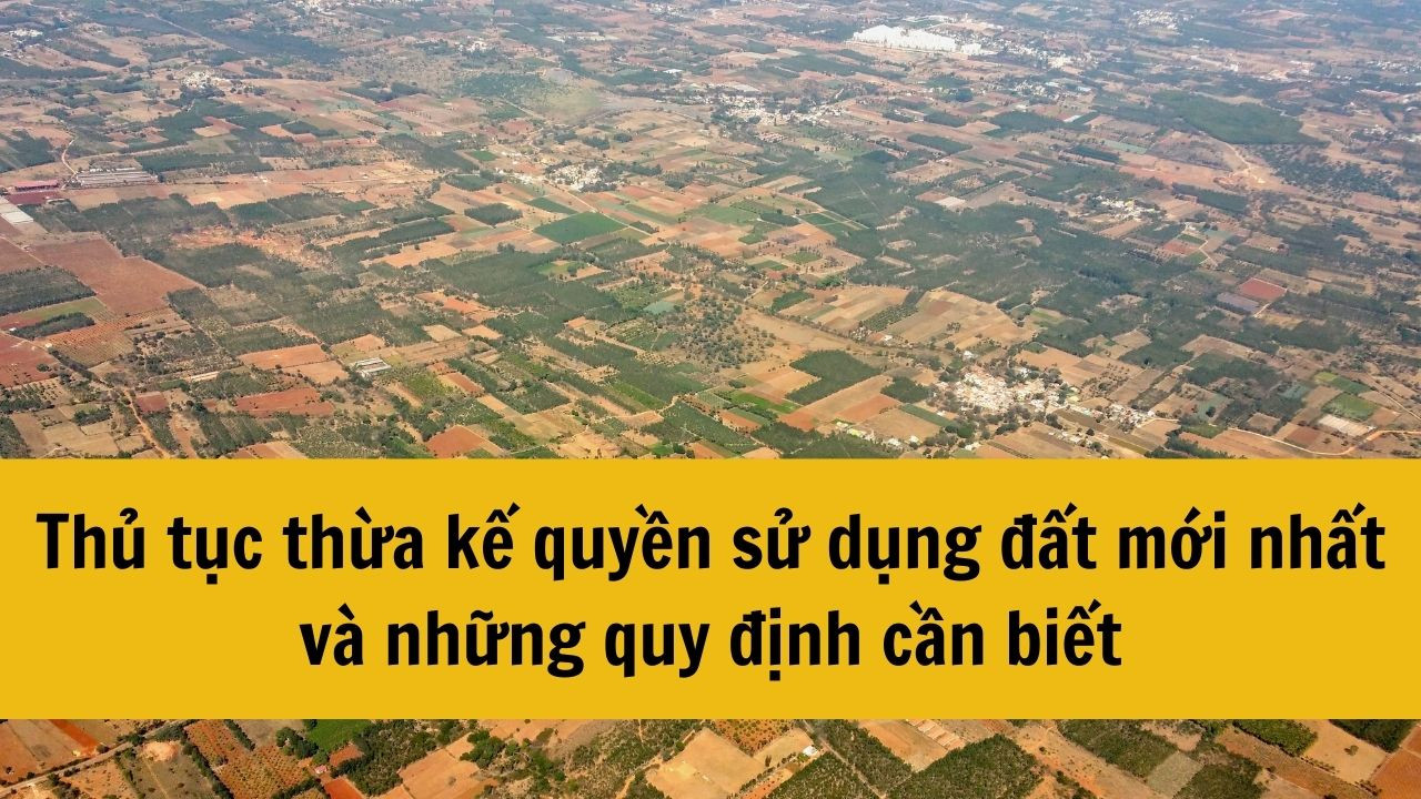Thủ tục thừa kế quyền sử dụng đất mới nhất 2025 và những quy định cần biết