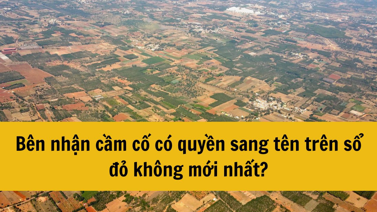 Bên nhận cầm cố có quyền sang tên trên sổ đỏ không mới nhất 2025?