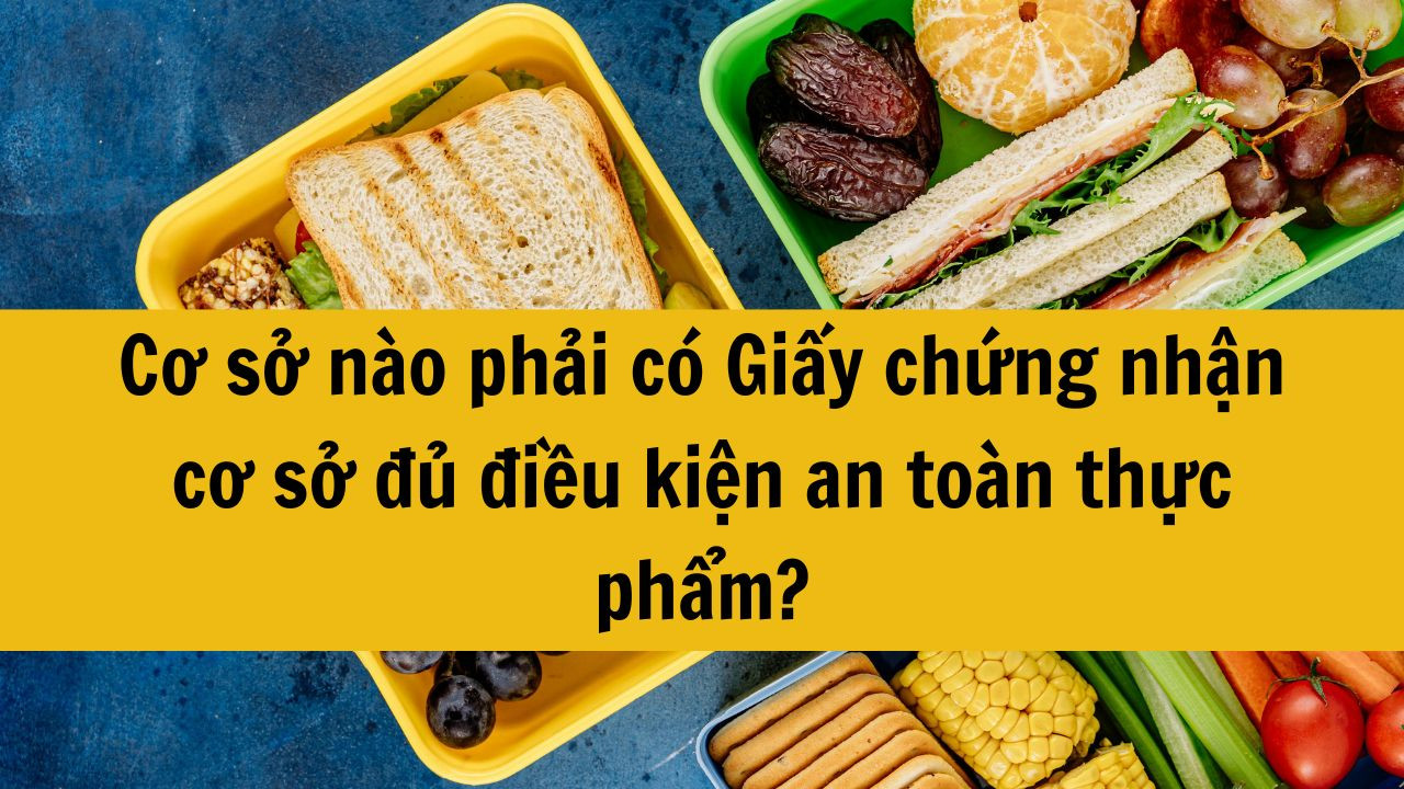 Cơ sở nào phải có Giấy chứng nhận cơ sở đủ điều kiện an toàn thực phẩm?