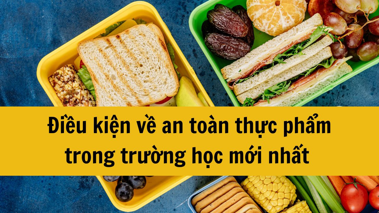 Điều kiện về an toàn thực phẩm trong trường học mới nhất 2025