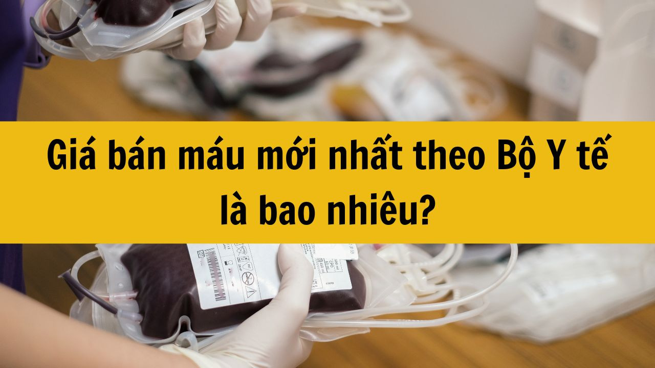 Giá bán máu mới nhất 2025 theo Bộ Y tế là bao nhiêu?