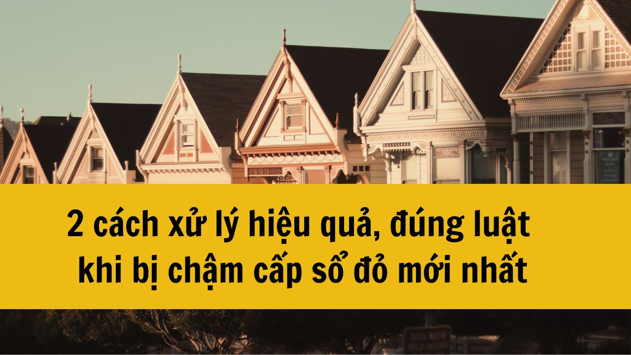 2 cách xử lý hiệu quả, đúng luật khi bị chậm cấp sổ đỏ mới nhất 2025