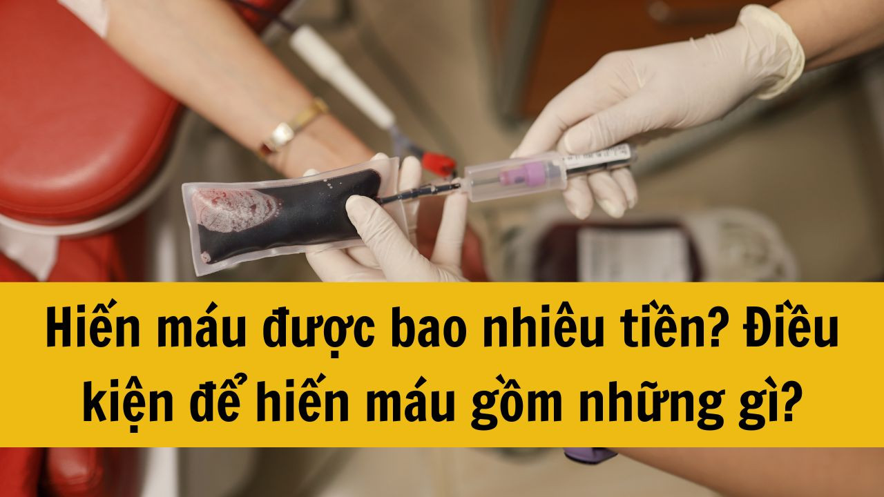 Hiến máu được bao nhiêu tiền? Điều kiện để hiến máu gồm những gì?