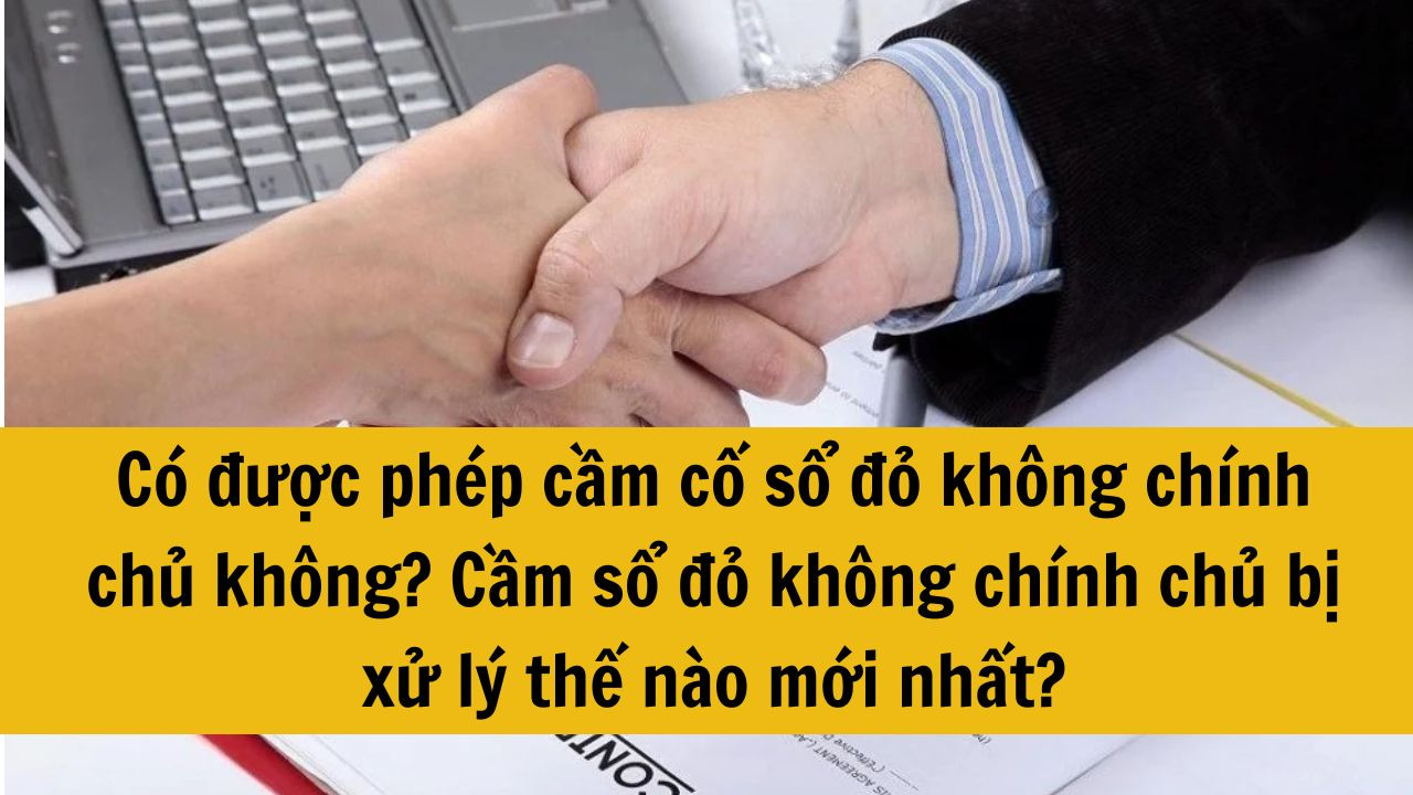 Có được phép cầm cố sổ đỏ không chính chủ không? Cầm sổ đỏ không chính chủ bị xử lý thế nào mới nhất 2025?