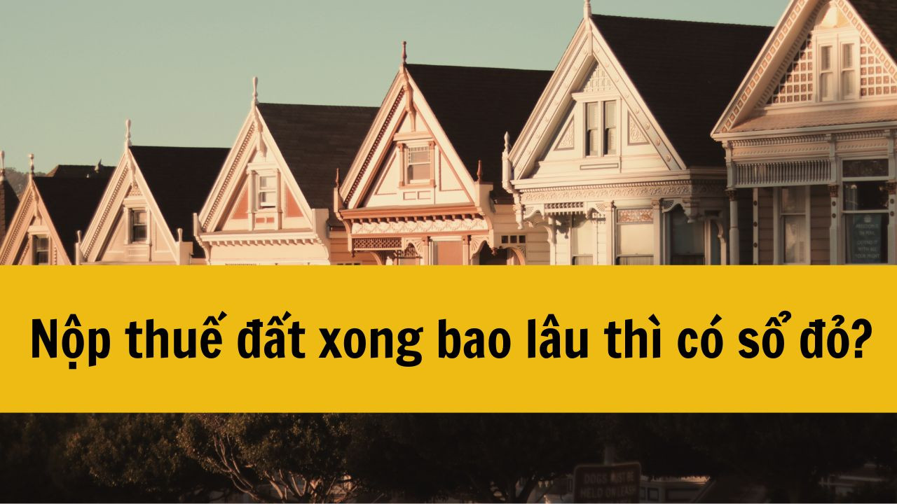 Nộp thuế đất xong bao lâu thì có sổ đỏ?