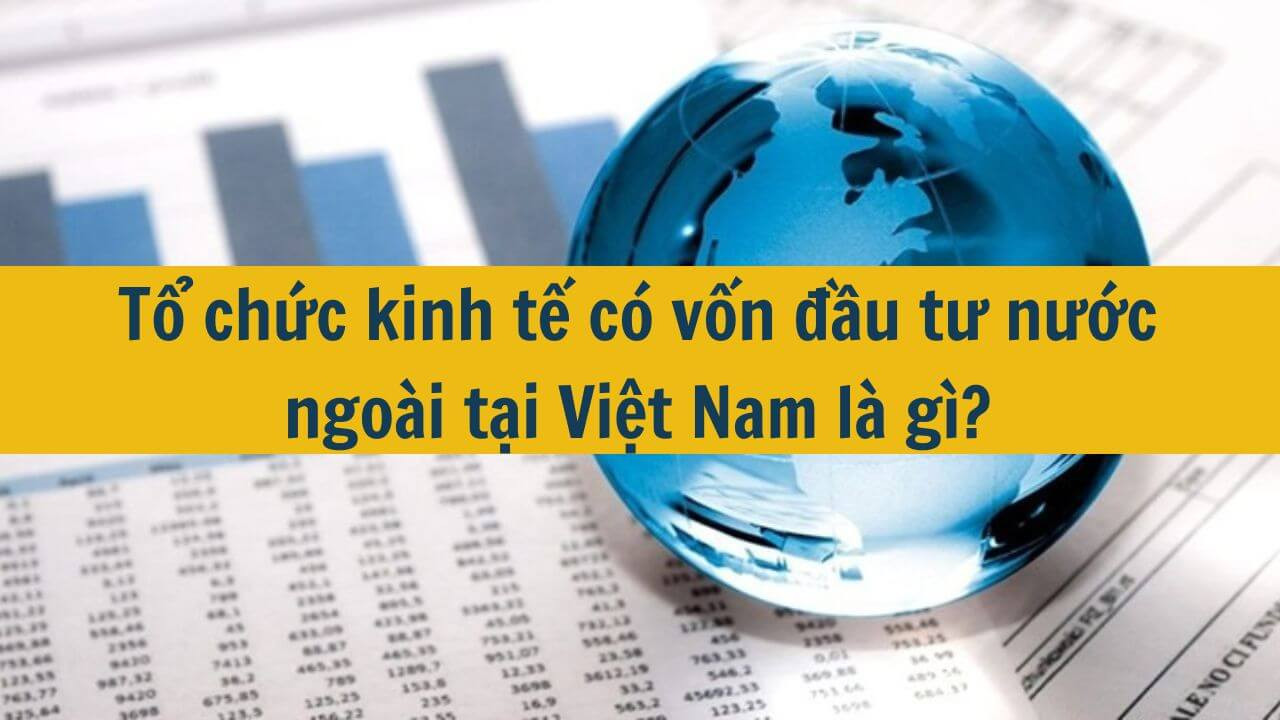 Tổ chức kinh tế có vốn đầu tư nước ngoài tại Việt Nam là gì?