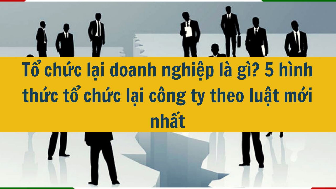 Tổ chức lại doanh nghiệp là gì? 5 hình thức tổ chức lại công ty theo luật mới nhất 2025