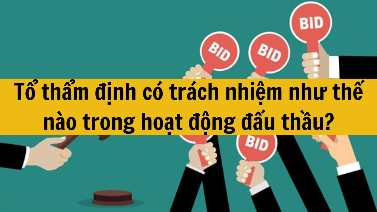 Tổ thẩm định có trách nhiệm như thế nào trong hoạt động đấu thầu?