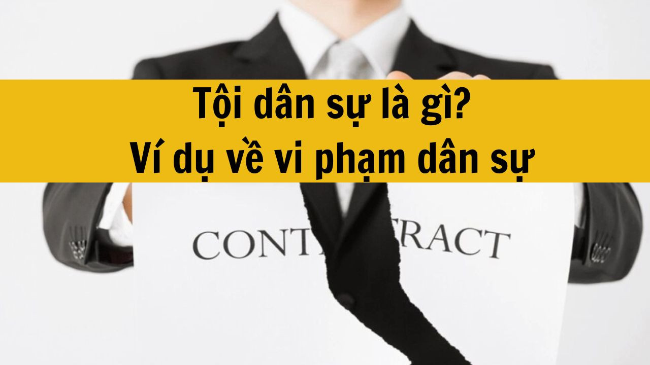 Tội dân sự là gì? Ví dụ về vi phạm dân sự chuẩn quy định mới nhất 2025