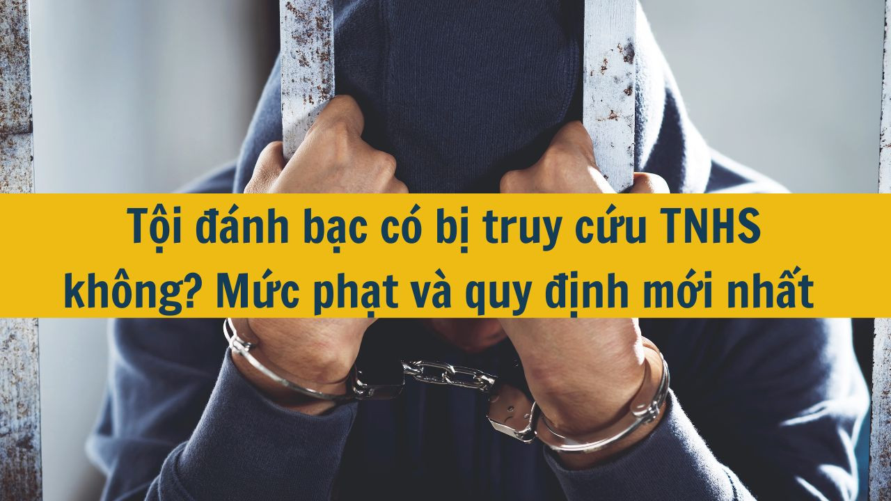 Tội đánh bạc có bị truy cứu TNHS không? Mức phạt và quy định mới nhất 2025