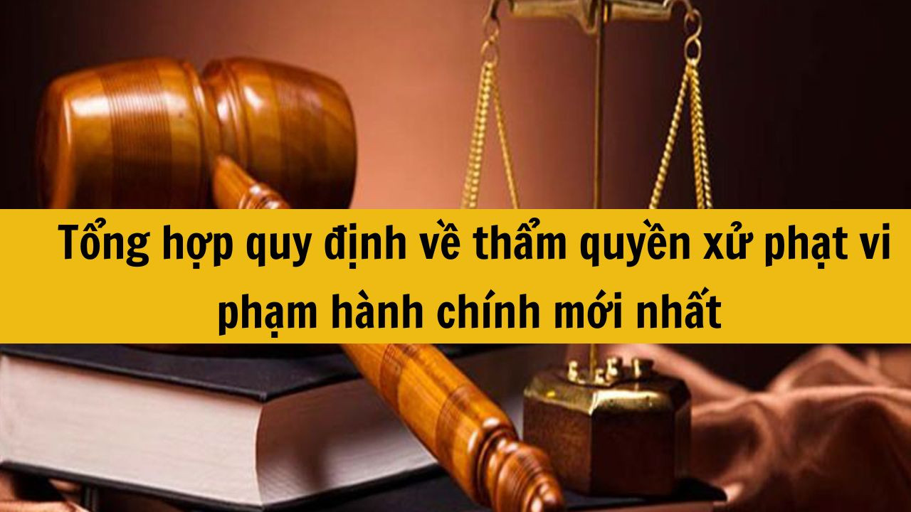 Tổng hợp quy định về thẩm quyền xử phạt vi phạm hành chính mới nhất 2025