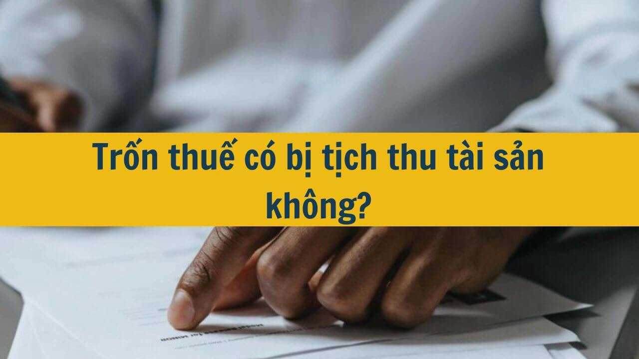 Trốn thuế có bị tịch thu tài sản không?