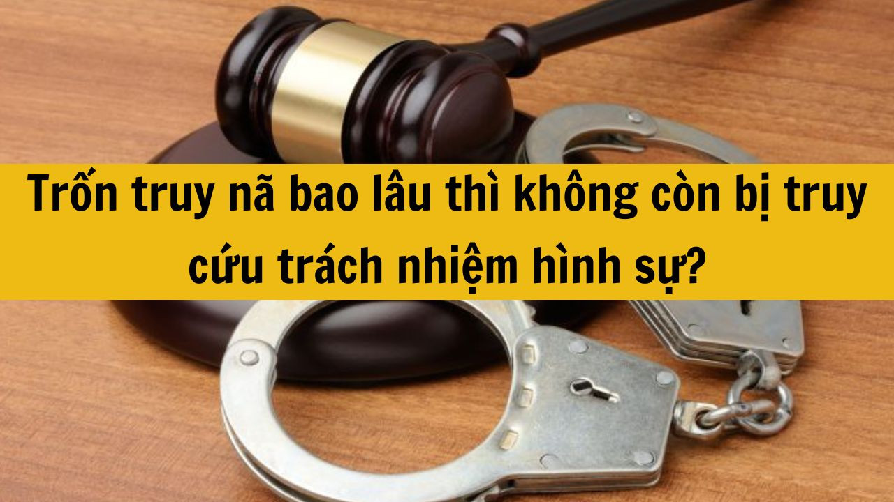 Trốn truy nã bao lâu thì không còn bị truy cứu trách nhiệm hình sự?