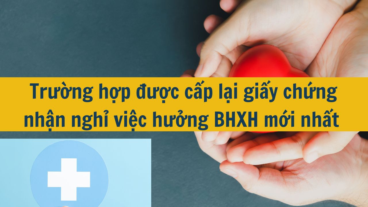 Trường hợp được cấp lại giấy chứng nhận nghỉ việc hưởng BHXH mới nhất 2025