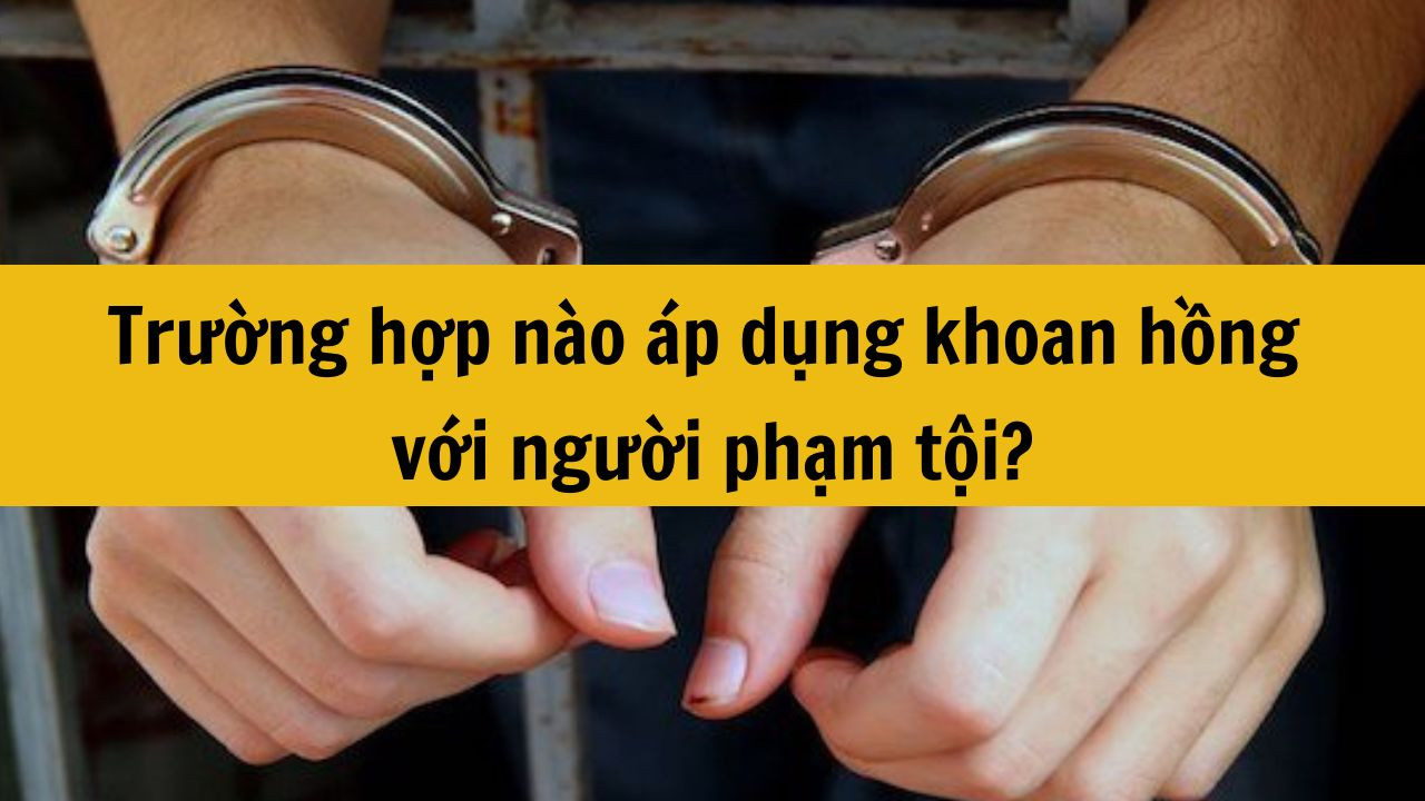 Trường hợp nào áp dụng khoan hồng với người phạm tội?