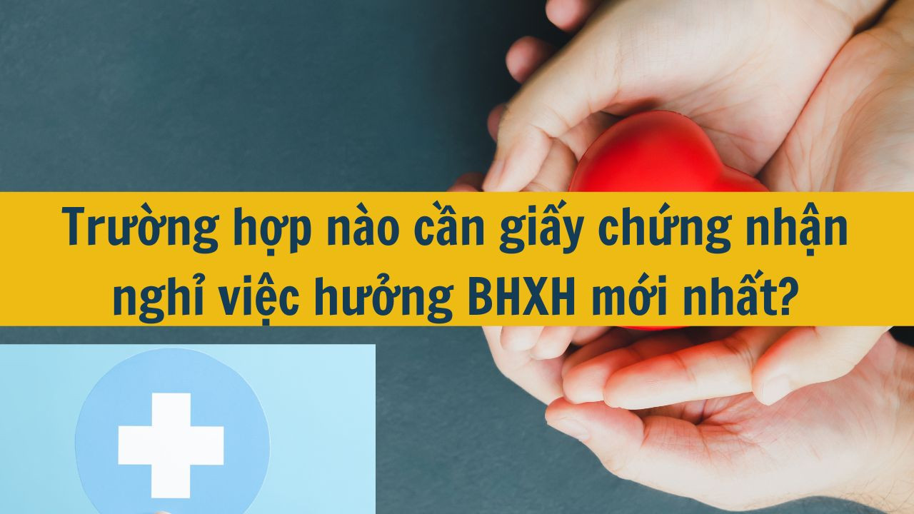 Trường hợp nào cần giấy chứng nhận nghỉ việc hưởng BHXH mới nhất 2025?