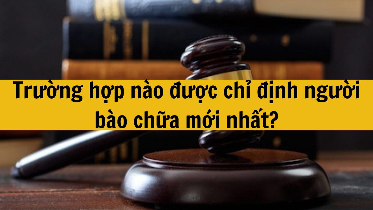 Trường hợp nào được chỉ định người bào chữa mới nhất 2025?