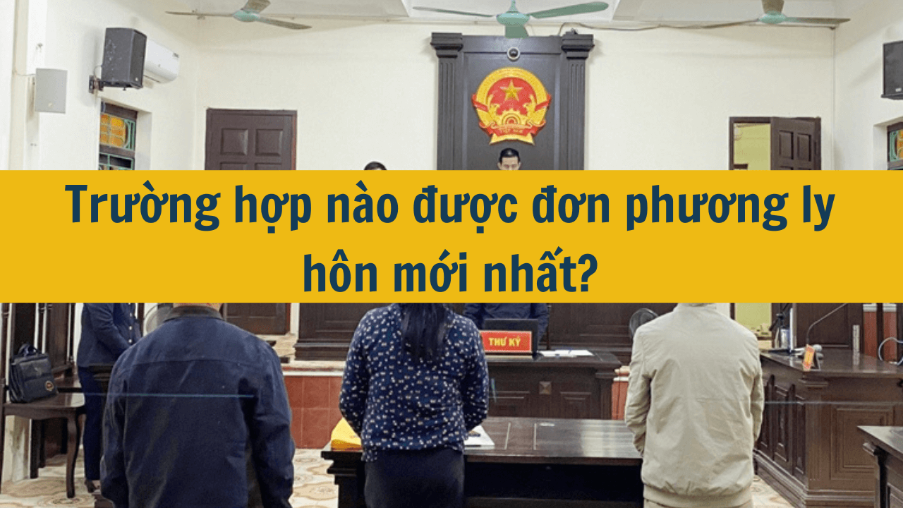 Trường hợp nào được đơn phương ly hôn mới nhất 2025?