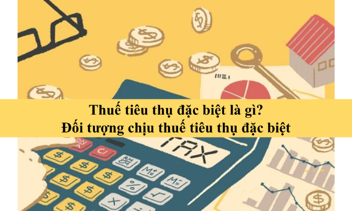 Thuế tiêu thụ đặc biệt là gì? Đối tượng chịu thuế tiêu thụ đặc biệt