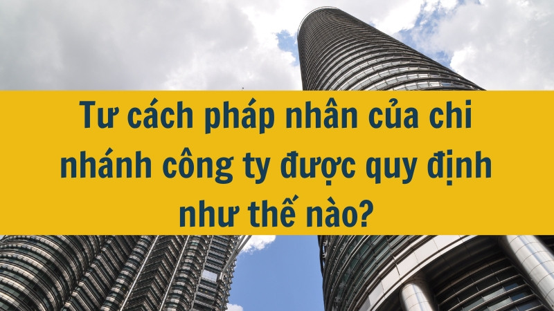 Tư cách pháp nhân của chi nhánh công ty được quy định như thế nào?