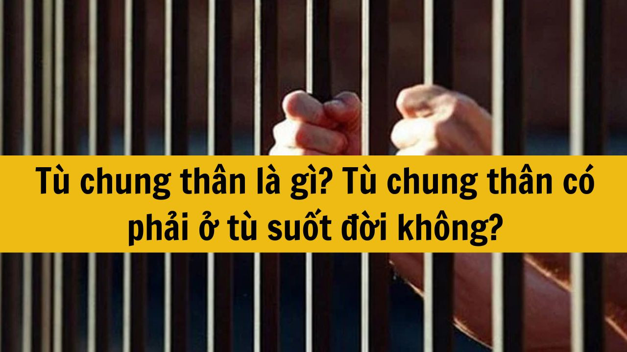 Tù chung thân là gì mới nhất 2025? Tù chung thân có phải ở tù suốt đời không?