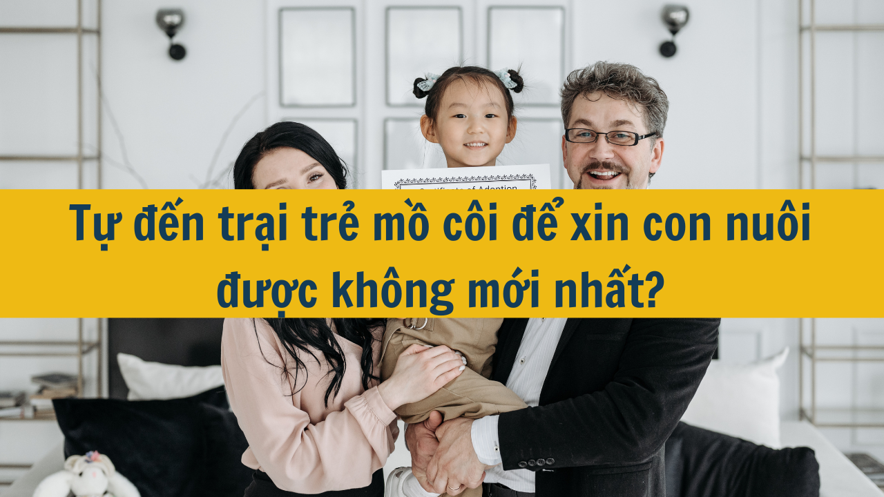 Tự đến trại trẻ mồ côi để xin con nuôi được không mới nhất 2025?