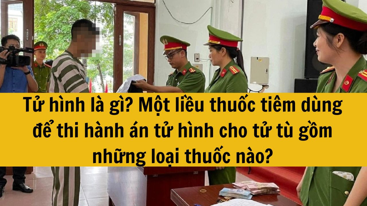 Tử hình là gì? Một liều thuốc tiêm dùng để thi hành án tử hình cho tử tù gồm những loại thuốc nào?