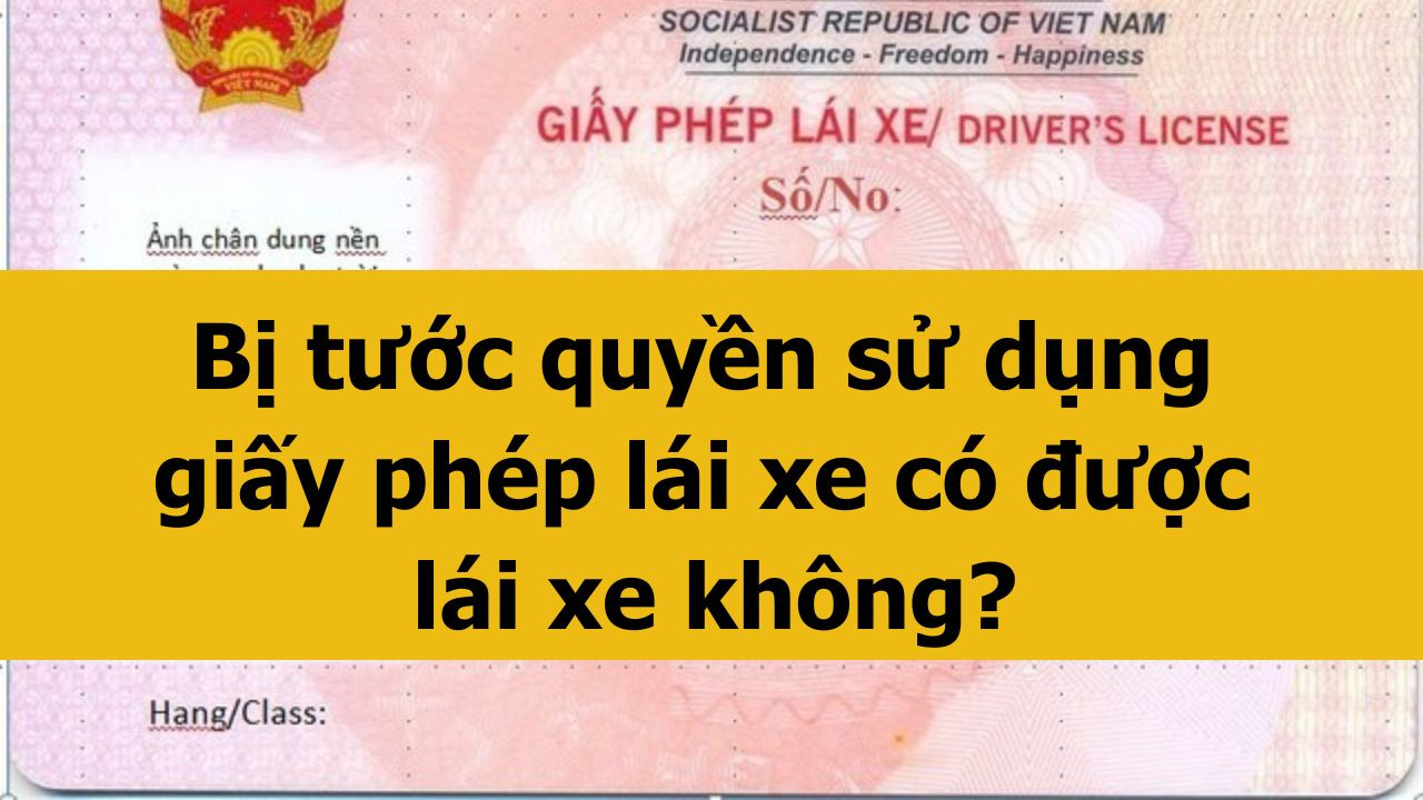 Bị tước quyền sử dụng giấy phép lái xe có được lái xe không mới nhất 2025?
