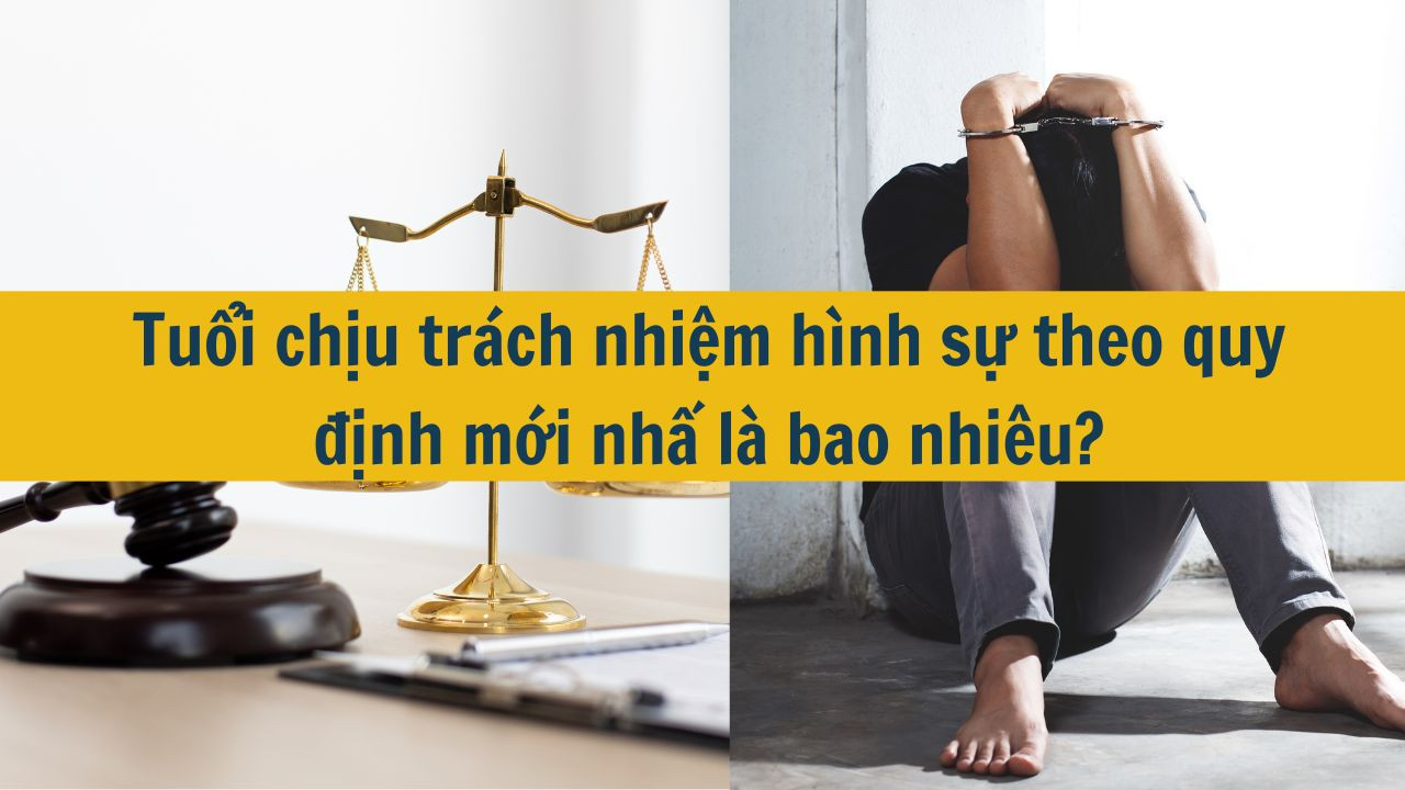 Tuổi chịu trách nhiệm hình sự theo quy định mới nhất 2026 là bao nhiêu?