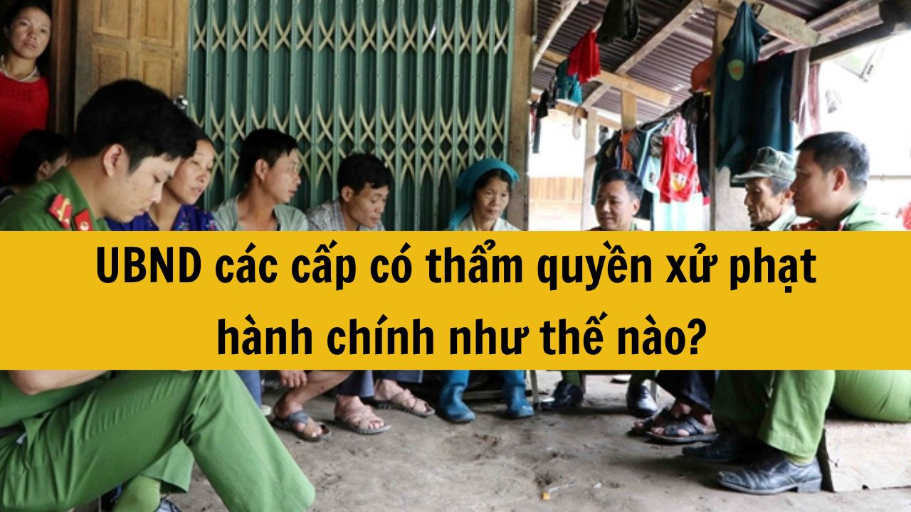 UBND các cấp có thẩm quyền xử phạt hành chính như thế nào?