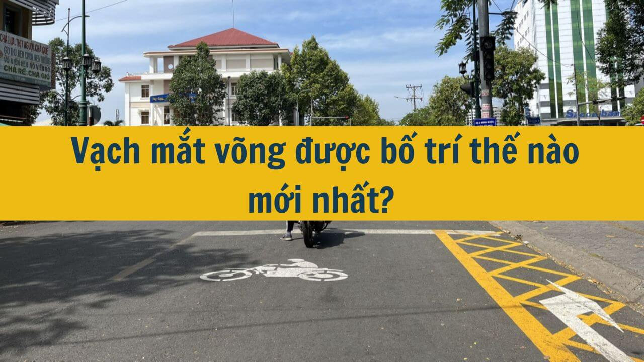 Vạch mắt võng được bố trí thế nào mới nhất 2025?