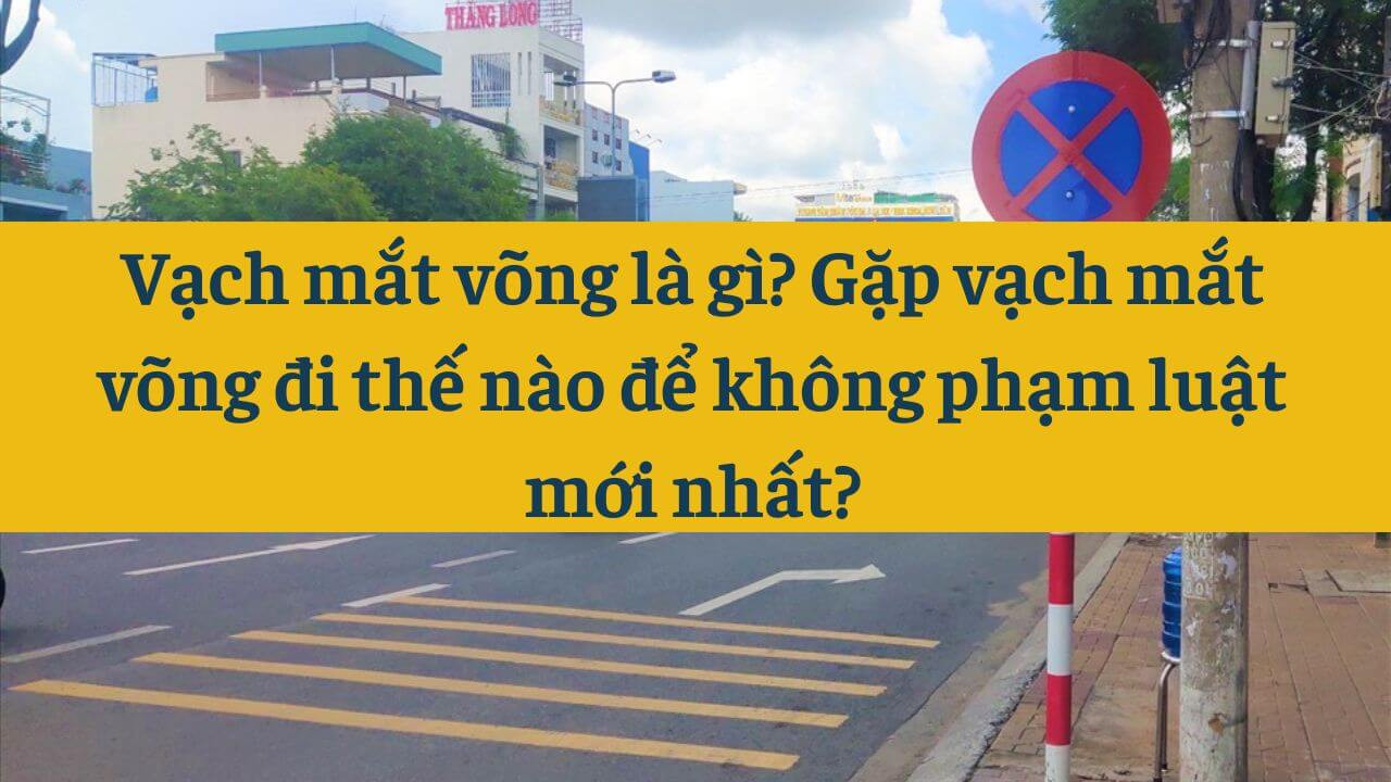 Vạch mắt võng là gì? Gặp vạch mắt võng đi thế nào để không phạm luật mới nhất 2025?