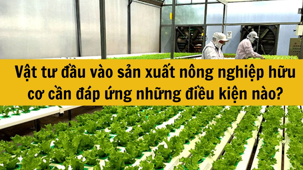 Vật tư đầu vào sản xuất nông nghiệp hữu cơ cần đáp ứng những điều kiện nào?