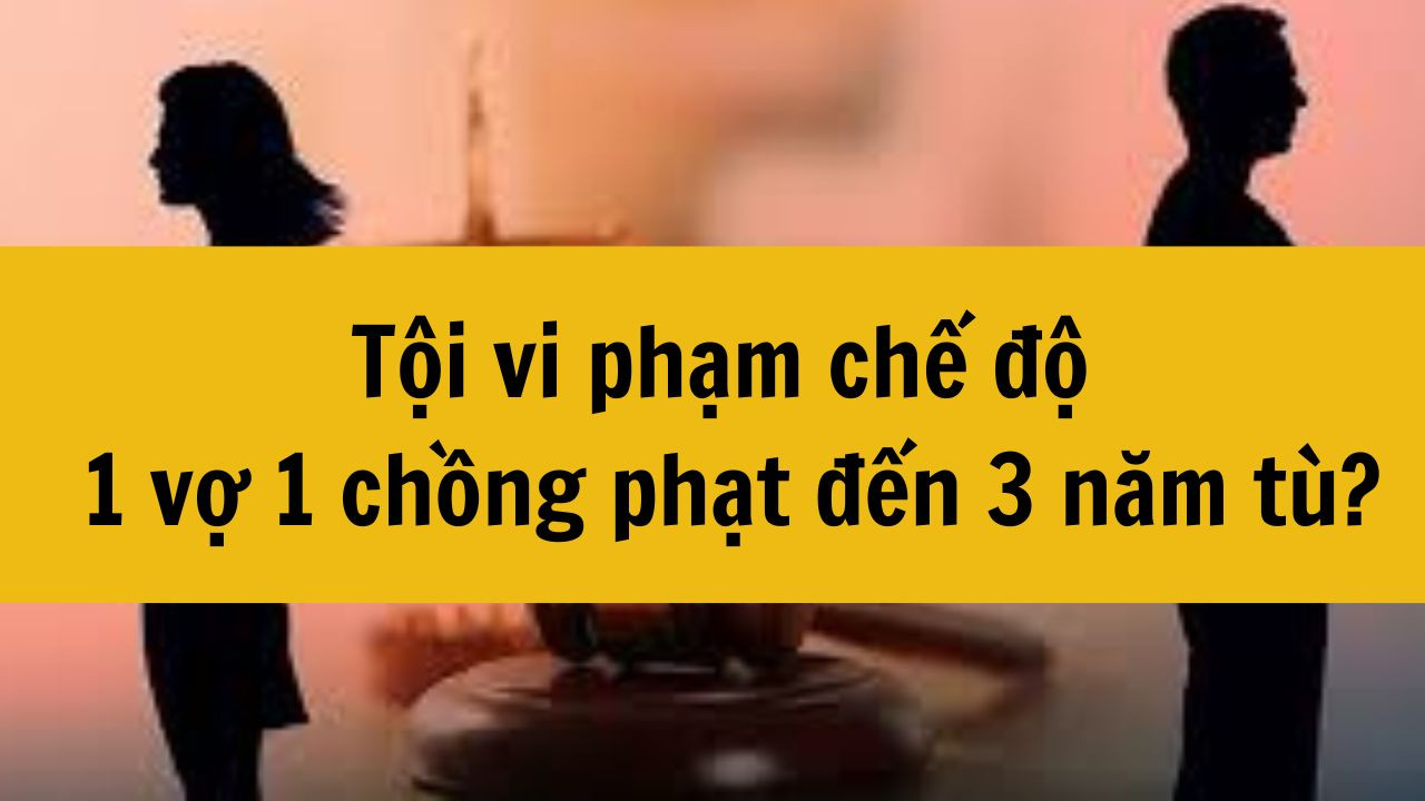 Tội vi phạm chế độ 1 vợ 1 chồng phạt đến 3 năm tù mới nhất 2025?