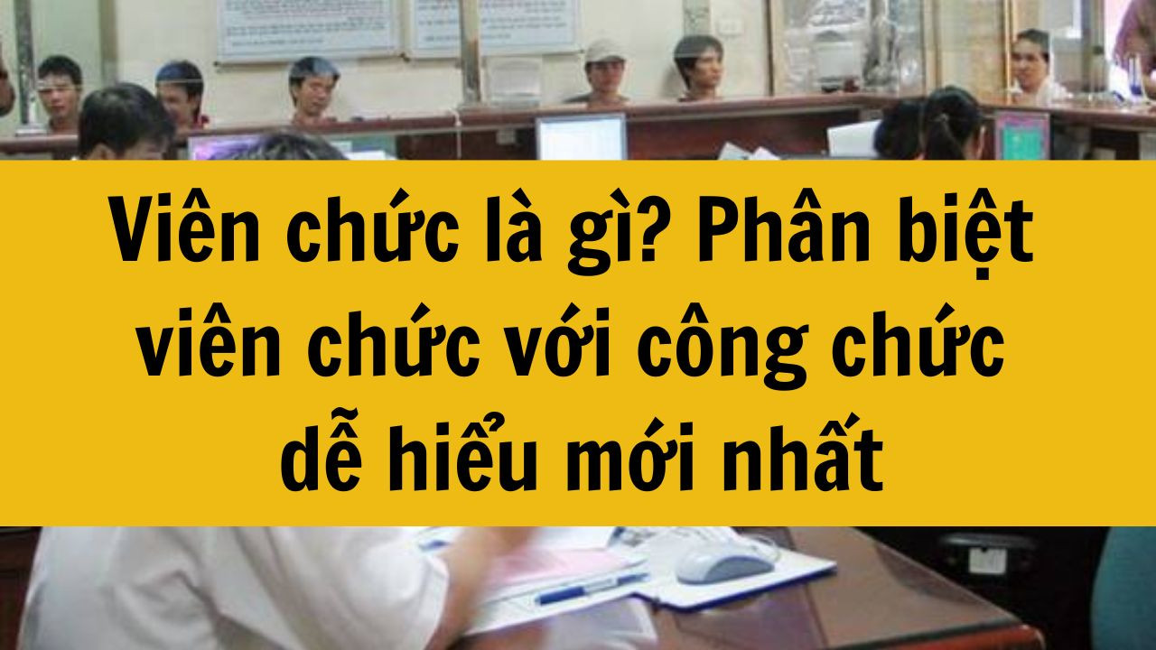 Viên chức là gì? Phân biệt viên chức với công chức dễ hiểu mới nhất 2025