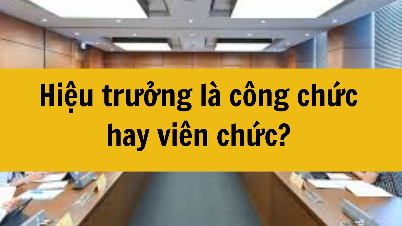 Hiểu thế nào là đơn vị sự nghiệp công lập?