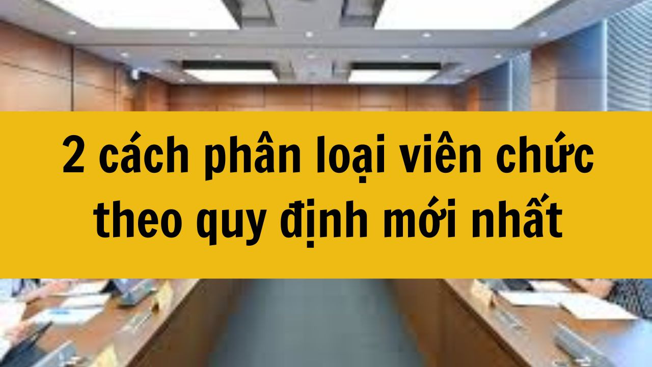 2 cách phân loại viên chức theo quy định mới nhất 2025