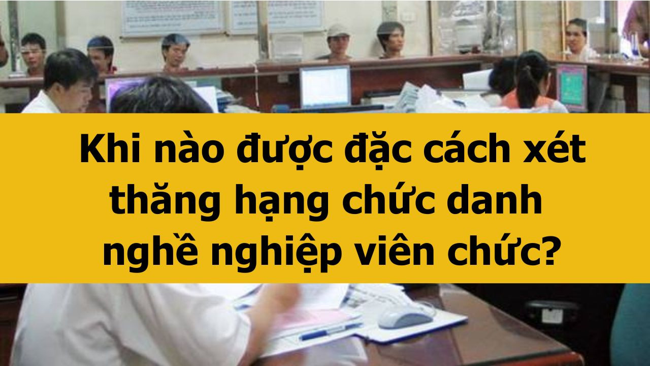Khi nào được đặc cách xét thăng hạng chức danh nghề nghiệp viên chức?