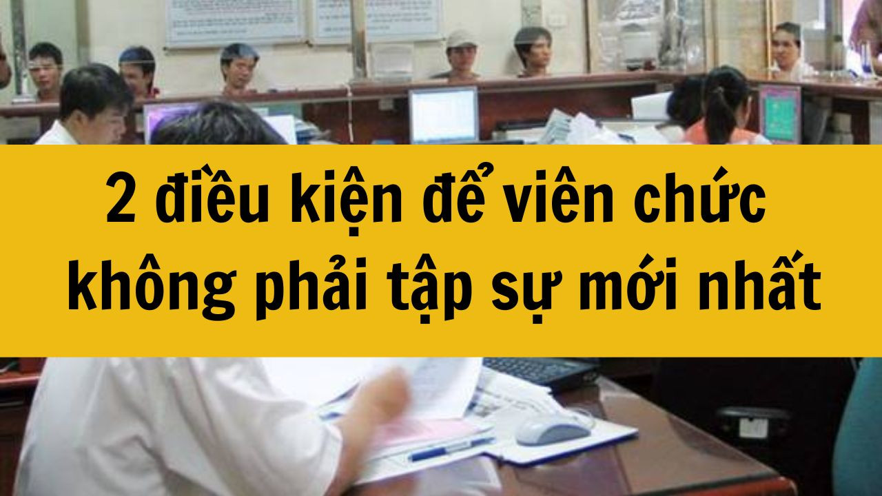 2 điều kiện để viên chức không phải tập sự mới nhất 2025
