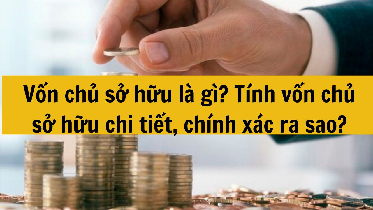 Vốn chủ sở hữu là gì mới nhất 2025? Tính vốn chủ sở hữu chi tiết, chính xác ra sao?
