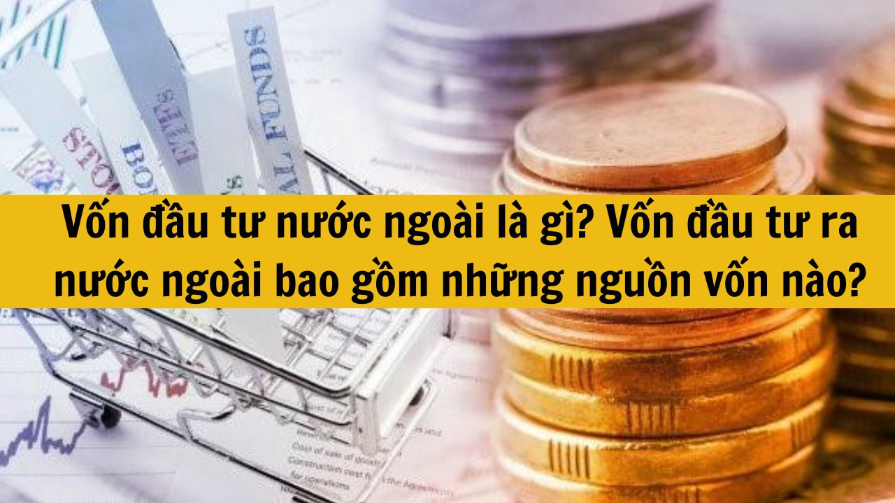 Vốn đầu tư nước ngoài là gì? Vốn đầu tư ra nước ngoài bao gồm những nguồn vốn nào?