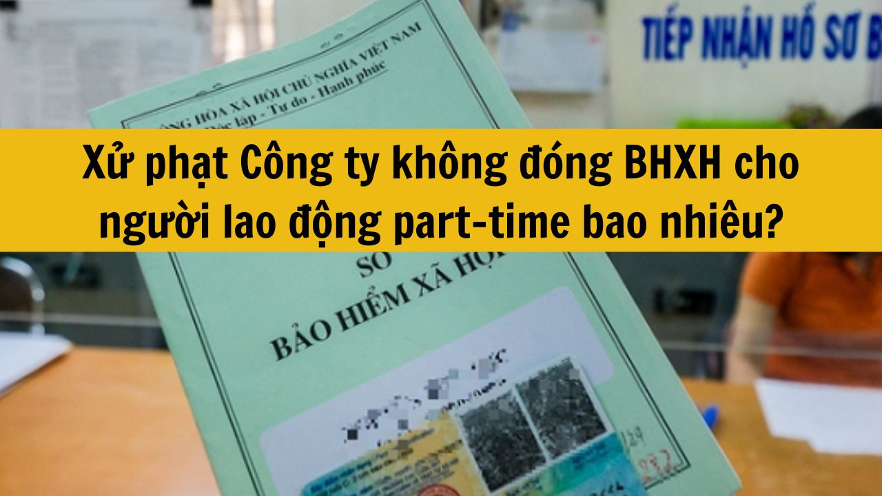 Xử phạt Công ty không đóng BHXH cho người lao động part-time bao nhiêu?